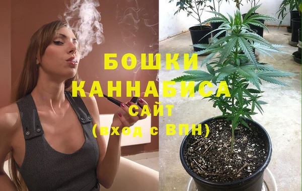 гидра Алексеевка