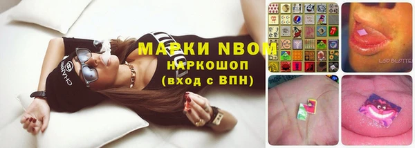 спиды Алзамай