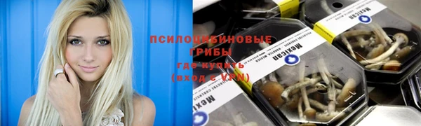 apvp Алексин