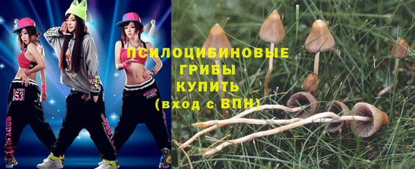 спиды Алзамай