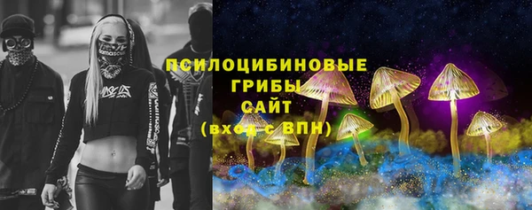 2c-b Сатка