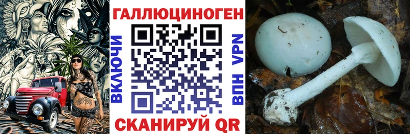 Галлюциногенные грибы Psilocybine cubensis  где продают наркотики  darknet какой сайт  Нижние Серги 